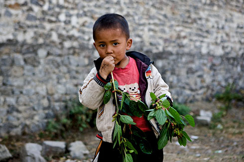 云南省曲靖市罗平县大水井村的一名男孩嘴里咬着枝茎。摄于2010年3月30日。