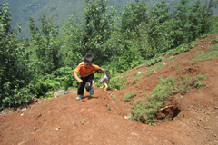 大人们在忙着搭建帐篷、重建生活的时候，一些孩子正在陡峭的山坡上玩耍，非常的危险。
